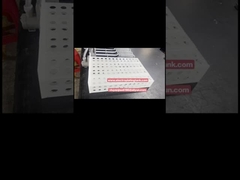 Teflon PTFE-onderdompelingsverwarmer met PP-bescherming